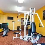 Quality Inn & Suites West Chase 